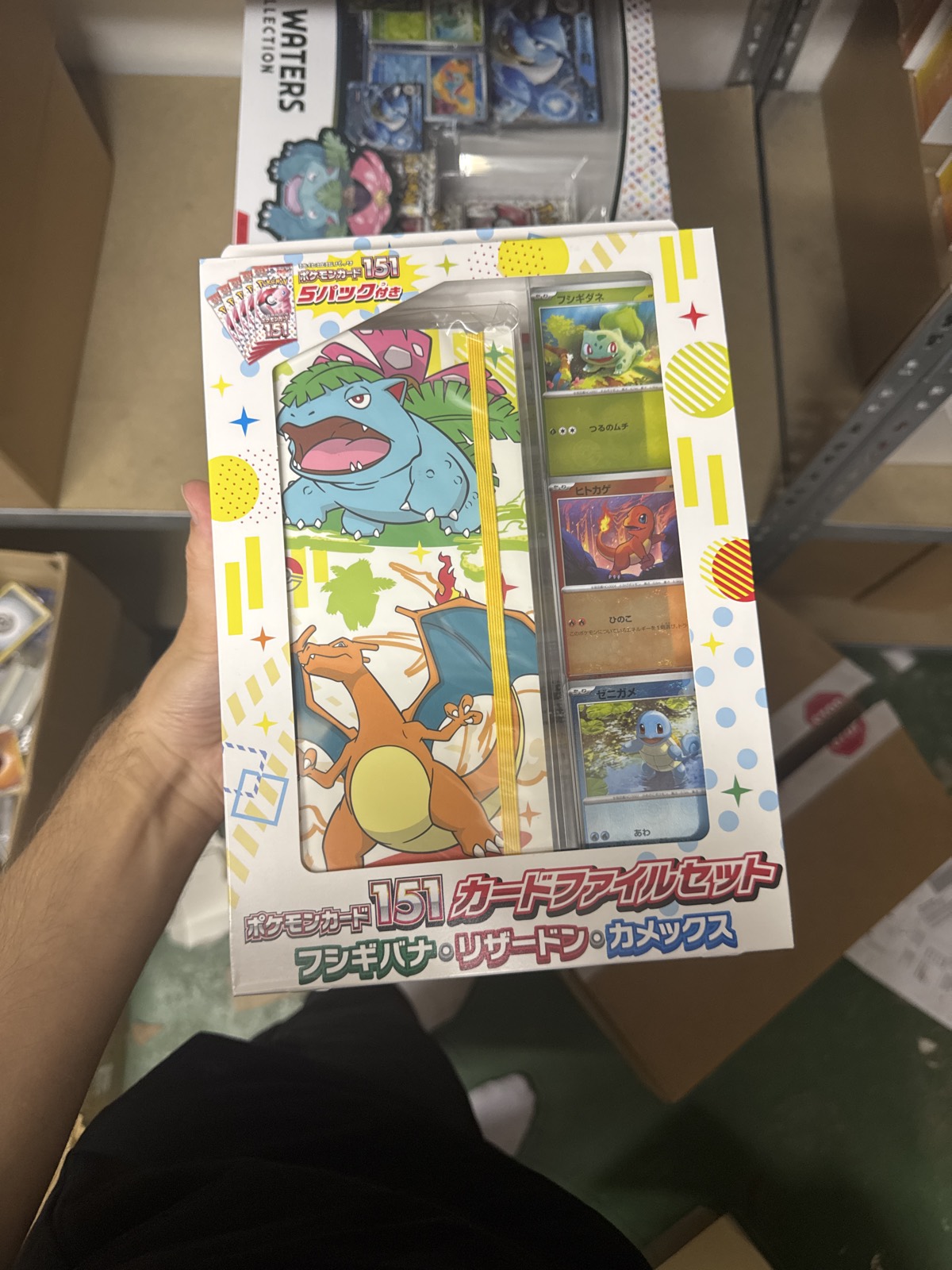 Pokémon Card 151 Card File Set – Bisasam/Glurak/Turtok (Japan)