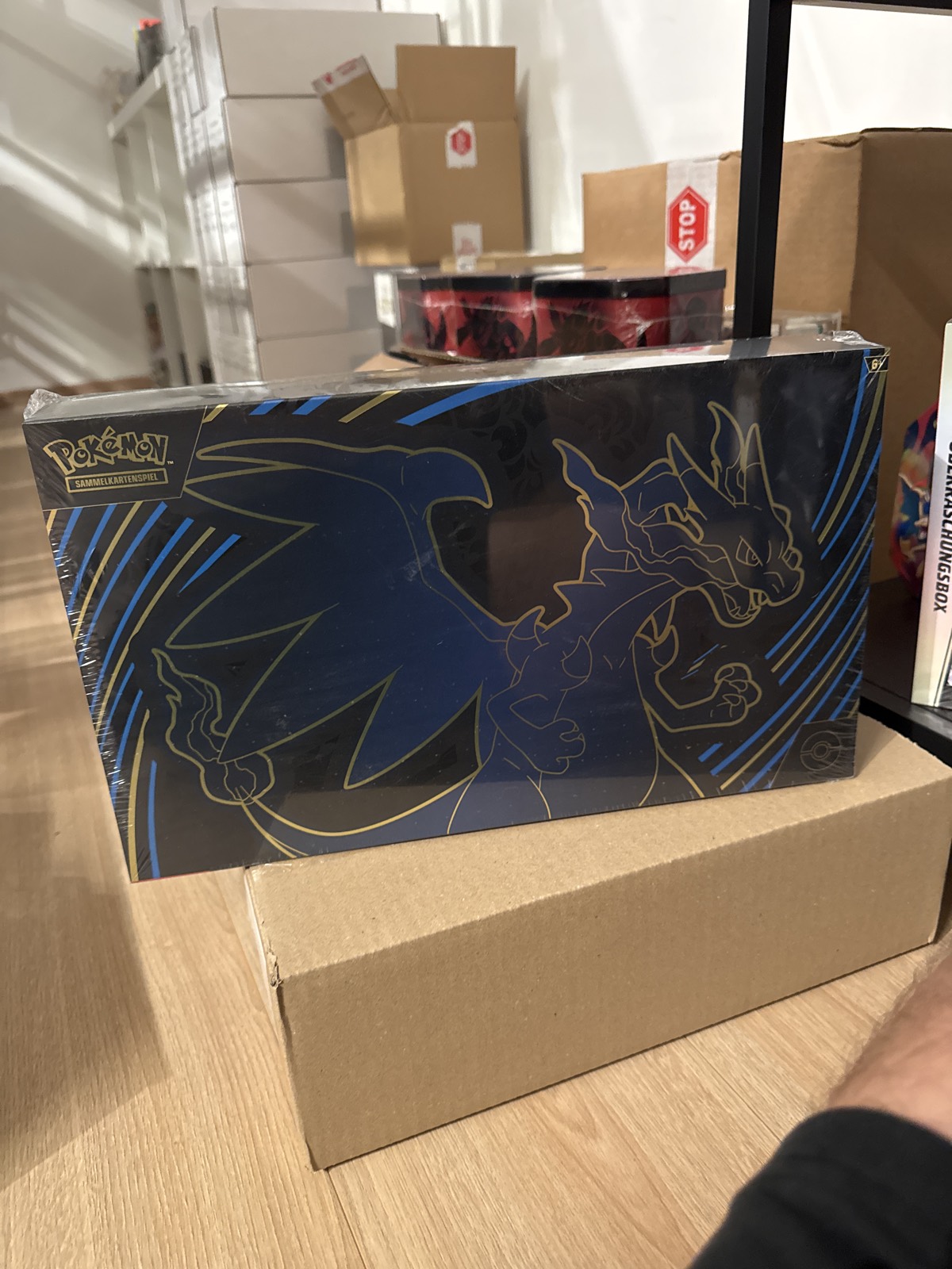 Pokémon Mega-Glurak X-ex Ultra-Premium-Kollektion (DE)