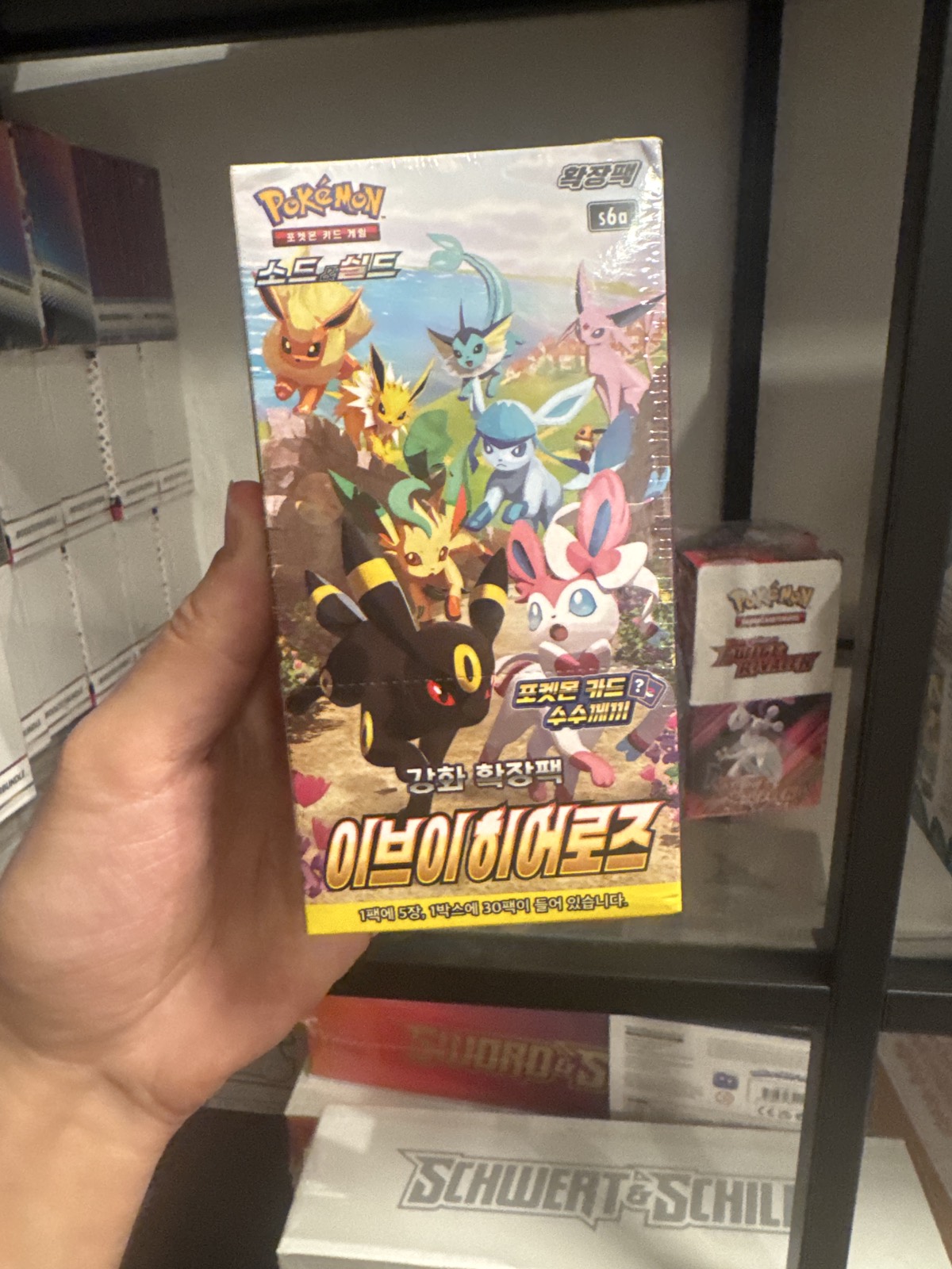 Pokemon Eevee Heroes Display (KOR)
