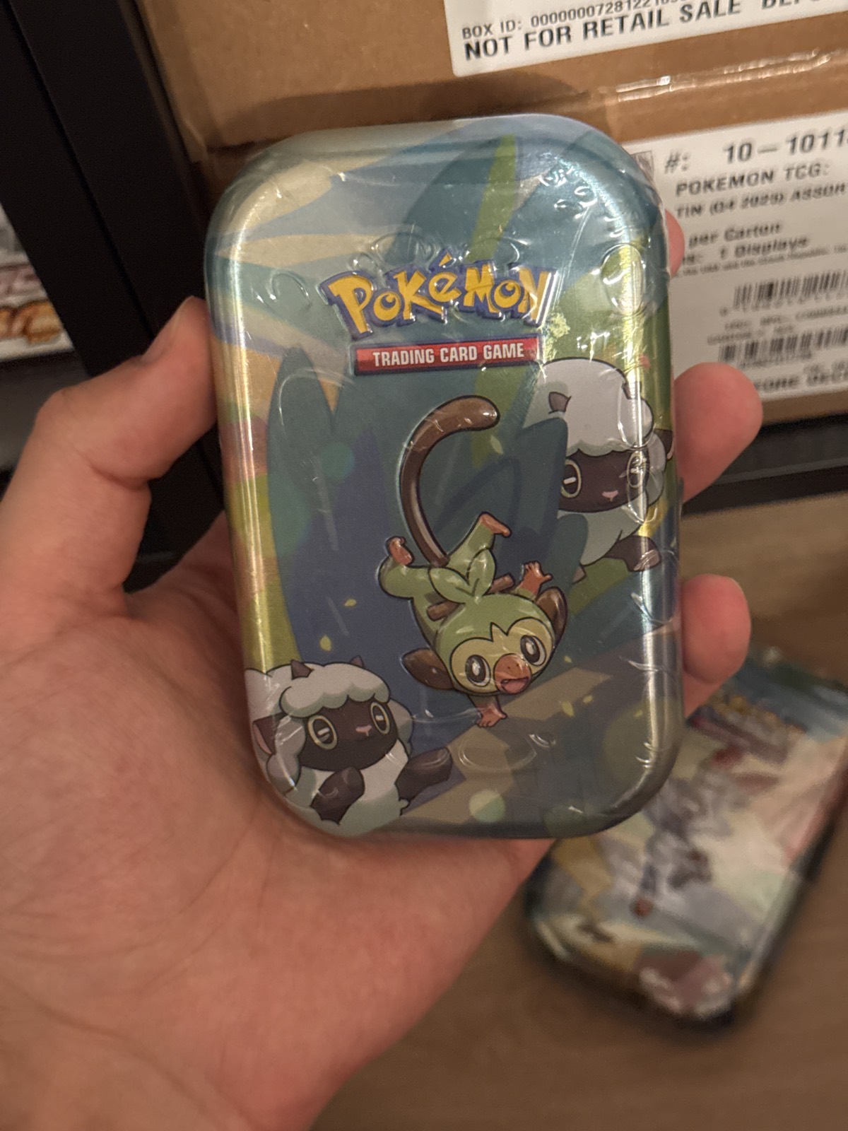 Pokémon Galar-Freunde Mini Tin – Chimpep & Wolly (DE)