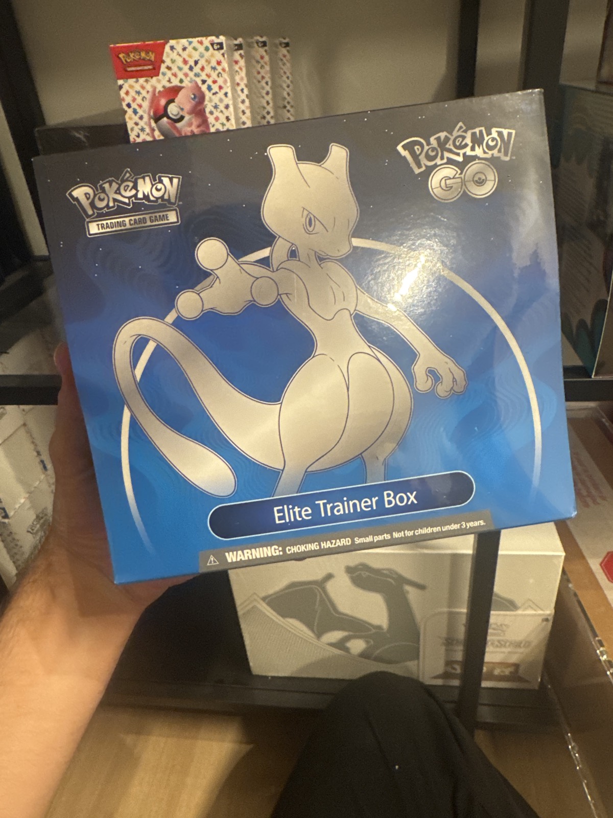 Pokemon Pokémon GO Elite Trainer Box  (EN)