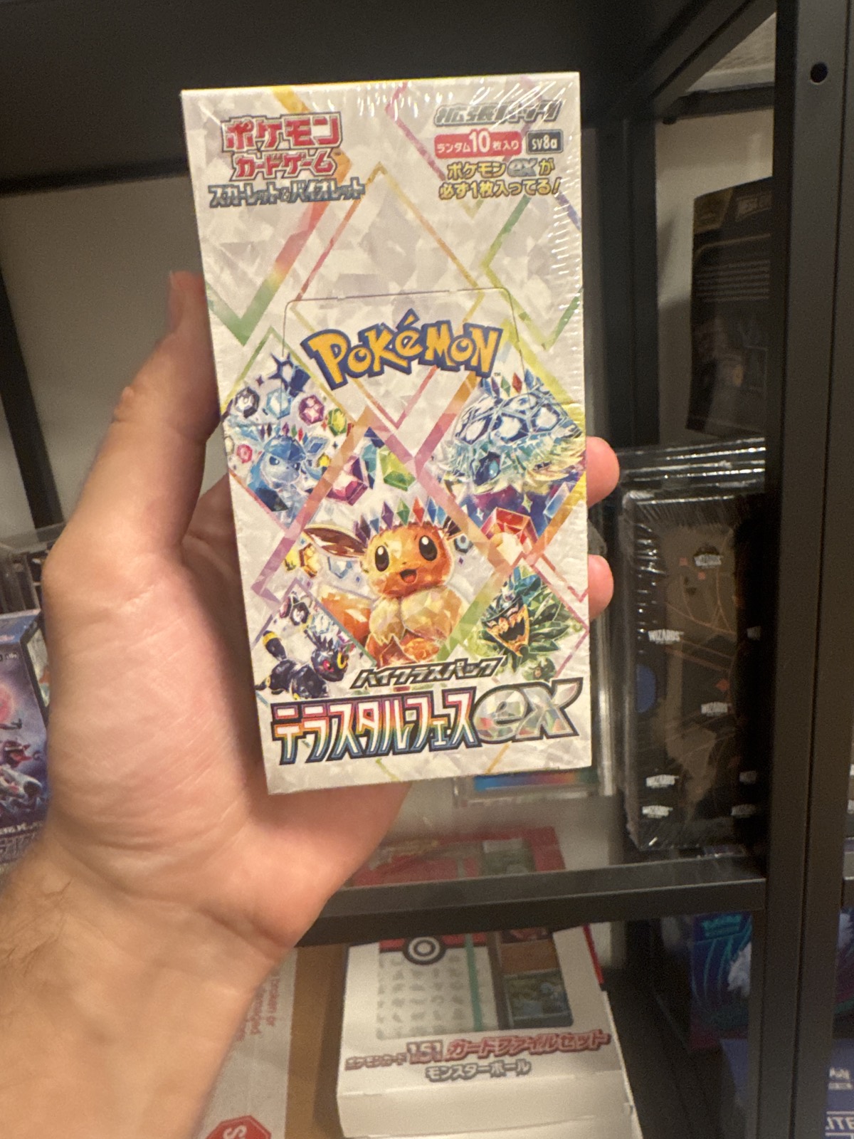 Pokemon Terastal Festival ex Display