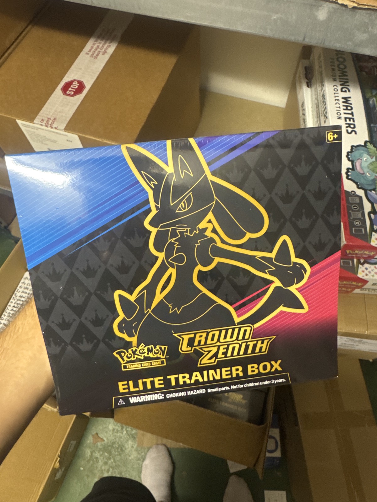 Pokémon Crown Zenith Elite Trainer Box (EN)